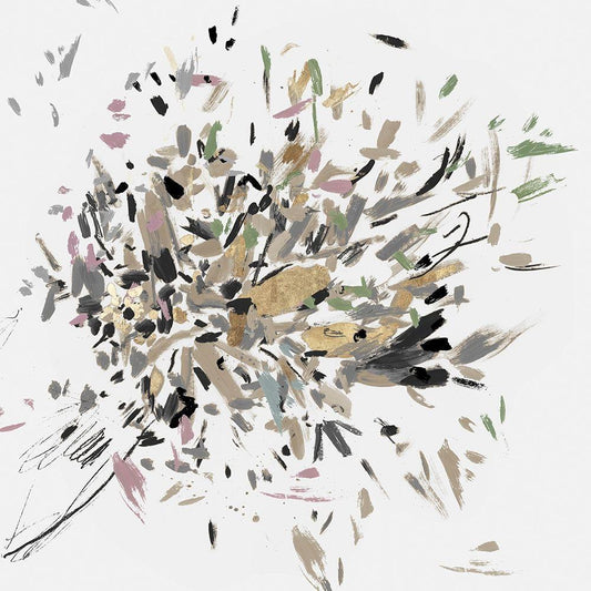 Image Only