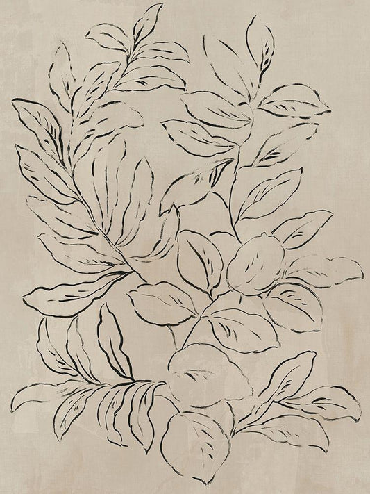 Image Only