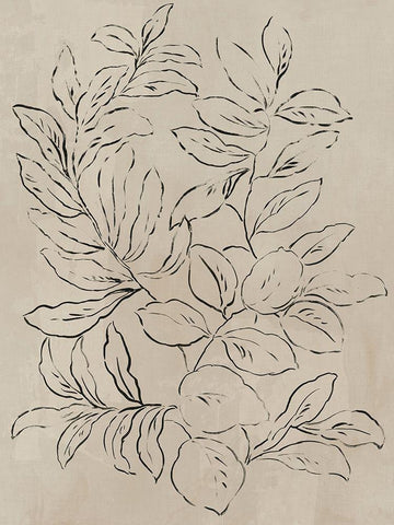 Outlined Leaves I  White Modern Wood Framed Art Print with Double Matting by Jensen, Asia