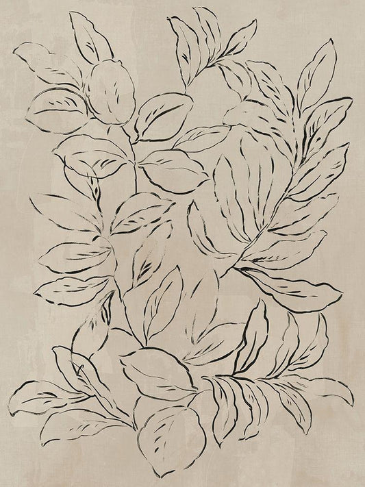 Image Only