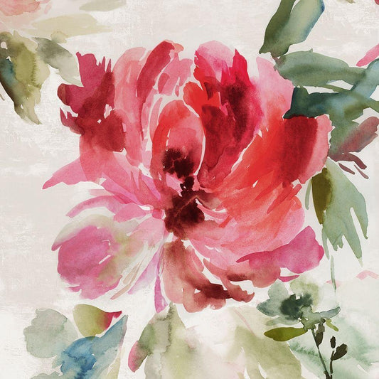 Image Only