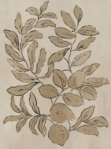Leaves Sketches I  White Modern Wood Framed Art Print with Double Matting by Jensen, Asia