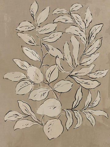 Leaves Sketches II White Modern Wood Framed Art Print with Double Matting by Jensen, Asia
