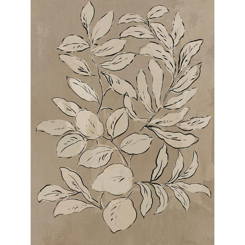 Leaves Sketches II Black Modern Wood Framed Art Print by Jensen, Asia
