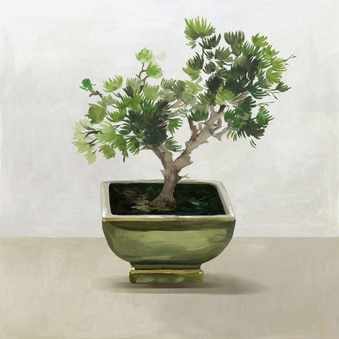 Bonsai Tree I  White Modern Wood Framed Art Print by Jensen, Asia