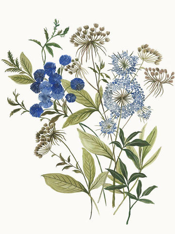 Botana I  Black Ornate Wood Framed Art Print with Double Matting by Jensen, Asia