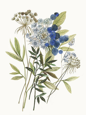 Botana II White Modern Wood Framed Art Print with Double Matting by Jensen, Asia