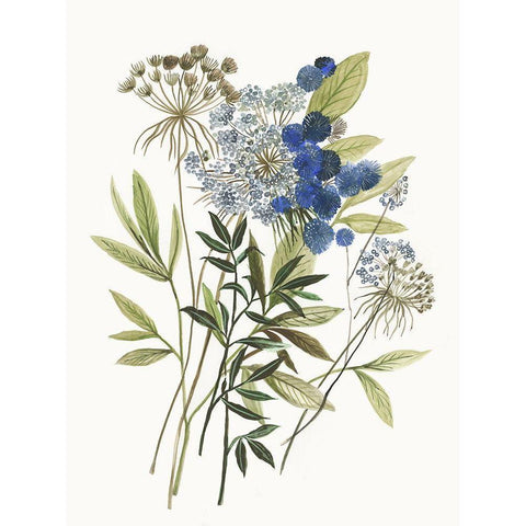 Botana II Black Modern Wood Framed Art Print by Jensen, Asia