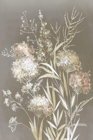 Delicate Bunch II White Modern Wood Framed Art Print with Double Matting by Jensen, Asia