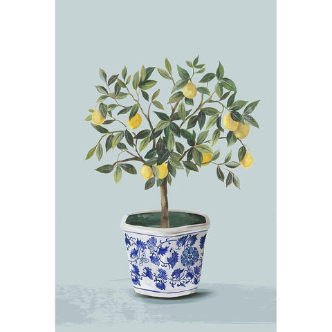 Lemon Tree  Black Modern Wood Framed Art Print with Double Matting by Jensen, Asia
