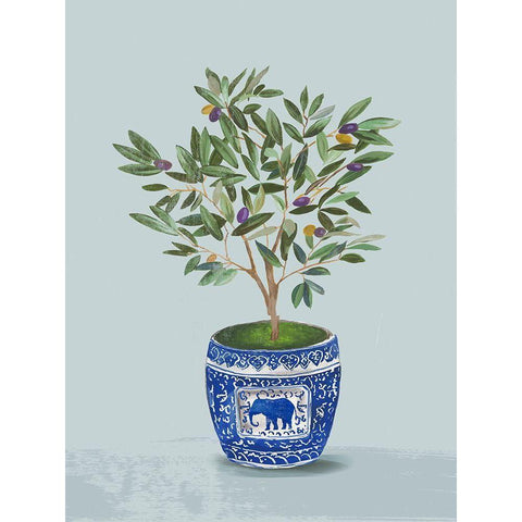 Olive Tree  Black Modern Wood Framed Art Print with Double Matting by Jensen, Asia