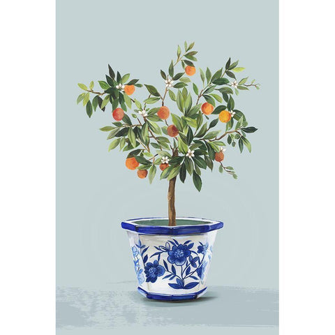 Orange Tree White Modern Wood Framed Art Print by Jensen, Asia