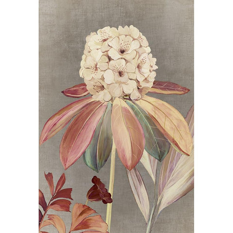 Fairytale III Black Modern Wood Framed Art Print with Double Matting by Jensen, Asia