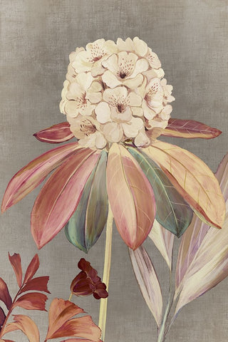 Fairytale III White Modern Wood Framed Art Print with Double Matting by Jensen, Asia