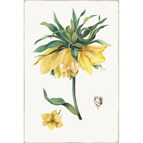 New Botana I  White Modern Wood Framed Art Print by Jensen, Asia