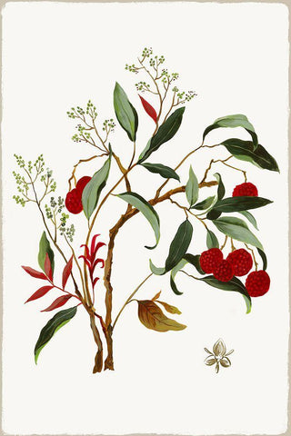 New Botana II  Black Ornate Wood Framed Art Print with Double Matting by Jensen, Asia