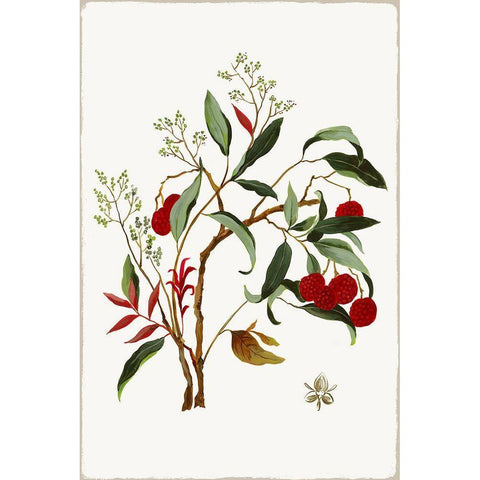 New Botana II  White Modern Wood Framed Art Print by Jensen, Asia