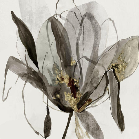 Charcole in Bloom  White Modern Wood Framed Art Print with Double Matting by Jensen, Asia