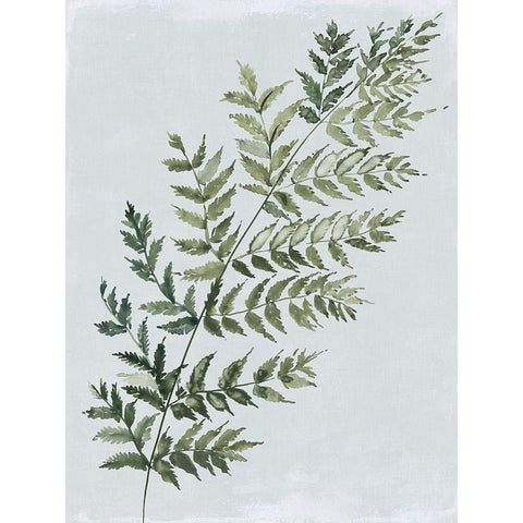 Green Fern I  White Modern Wood Framed Art Print by Jensen, Asia