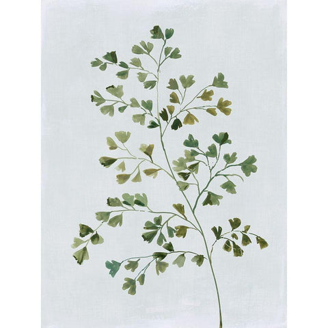 Green Fern II  Gold Ornate Wood Framed Art Print with Double Matting by Jensen, Asia