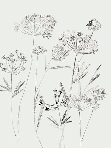 White Delicate II  Black Ornate Wood Framed Art Print with Double Matting by Jensen, Asia