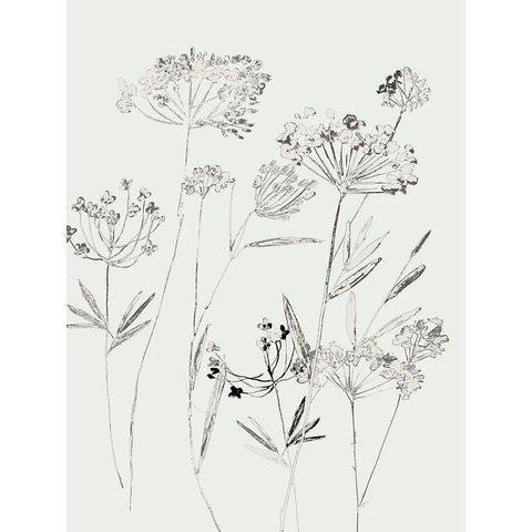 White Delicate II  Black Modern Wood Framed Art Print by Jensen, Asia