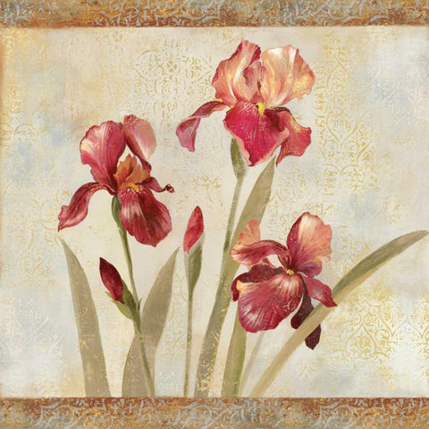Iris Tapestry I Black Modern Wood Framed Art Print with Double Matting by Jensen, Asia