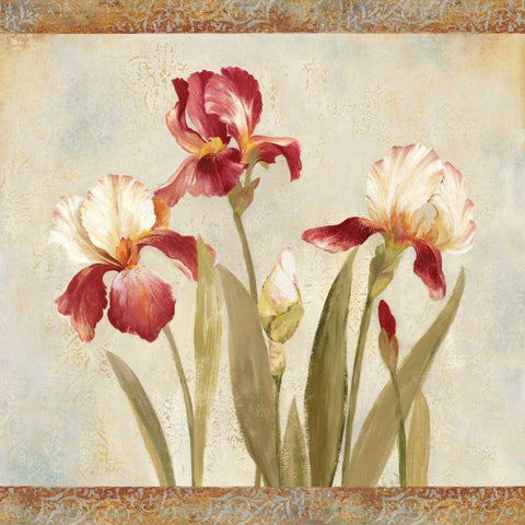 Iris Tapestry II Black Modern Wood Framed Art Print with Double Matting by Jensen, Asia