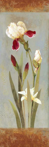 Bella White Modern Wood Framed Art Print with Double Matting by Jensen, Asia