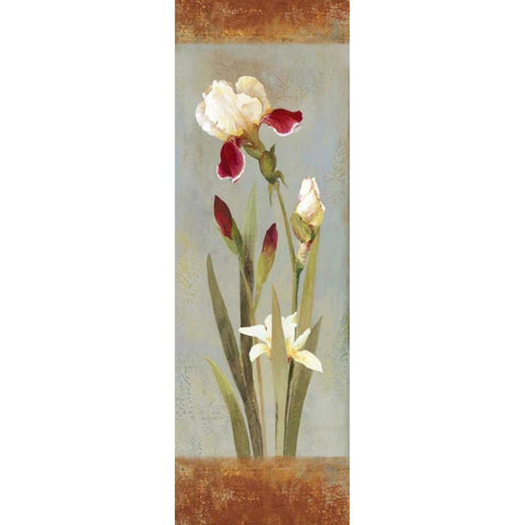 Bella Black Modern Wood Framed Art Print by Jensen, Asia