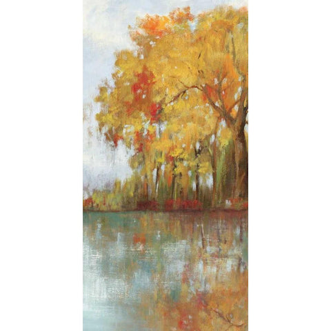 Forest Reflection I Black Modern Wood Framed Art Print with Double Matting by Jensen, Asia
