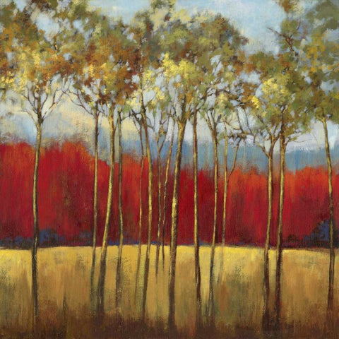 In the Horizon I White Modern Wood Framed Art Print by Jensen, Asia