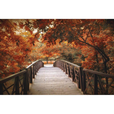 Footbridge Black Modern Wood Framed Art Print by Jenney, Jessica