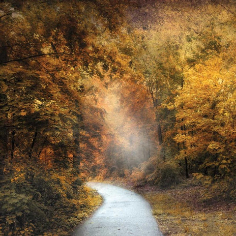 October Trail Gold Ornate Wood Framed Art Print with Double Matting by Jenney, Jessica