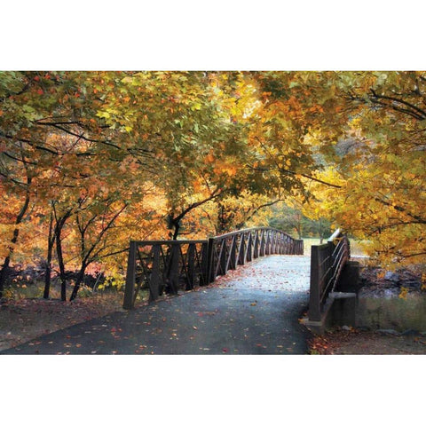 Autumn Overpass Gold Ornate Wood Framed Art Print with Double Matting by Jenney, Jessica