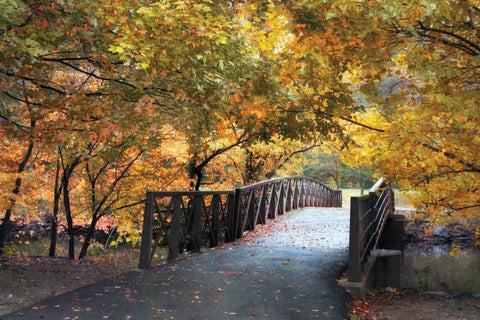 Autumn Overpass White Modern Wood Framed Art Print with Double Matting by Jenney, Jessica
