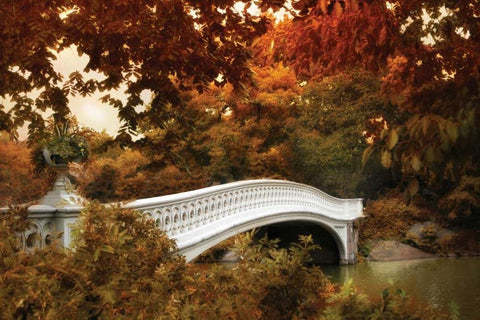 Bow Bridge Black Ornate Wood Framed Art Print with Double Matting by Jenney, Jessica