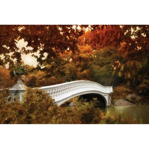 Bow Bridge Black Modern Wood Framed Art Print with Double Matting by Jenney, Jessica