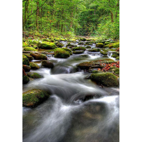 Smoky Mountain Tranquility Black Modern Wood Framed Art Print with Double Matting by West, James