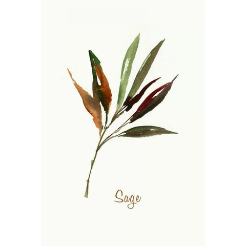 Wild Sage - Mini Black Modern Wood Framed Art Print by Jensen, Asia