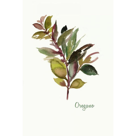 Oregano - Mini Black Modern Wood Framed Art Print with Double Matting by Jensen, Asia