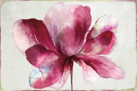 Lilya Red Black Ornate Wood Framed Art Print with Double Matting by Jensen, Asia