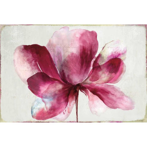 Lilya Red Black Modern Wood Framed Art Print with Double Matting by Jensen, Asia