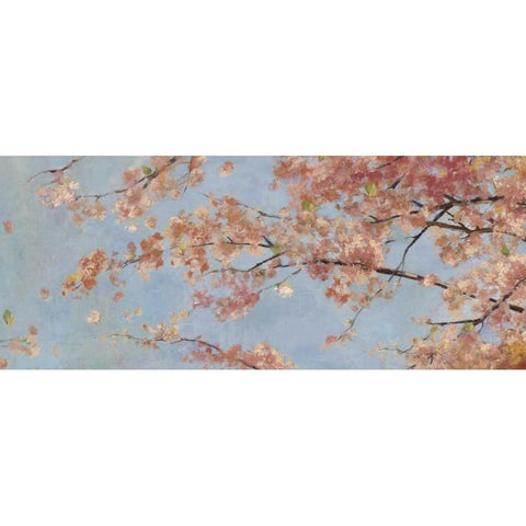 Osaka Blossoms I - Mini Black Modern Wood Framed Art Print with Double Matting by Jensen, Asia