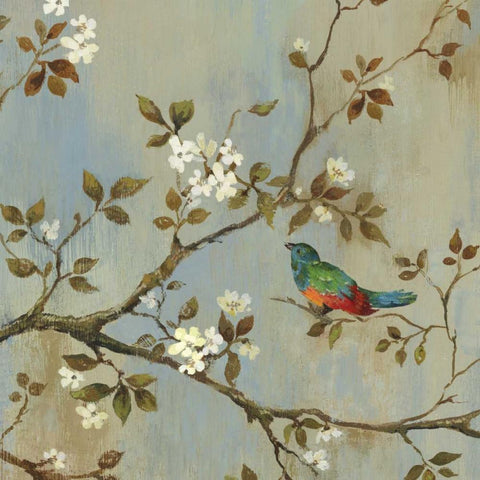 Apple Bloom I  Black Ornate Wood Framed Art Print with Double Matting by Jensen, Asia