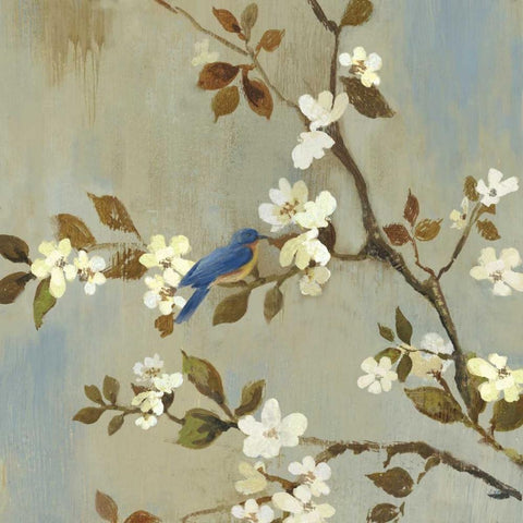 Apple Bloom III  White Modern Wood Framed Art Print by Jensen, Asia