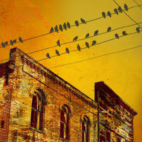 Birds on a Wire I Black Ornate Wood Framed Art Print with Double Matting by McMasters, James