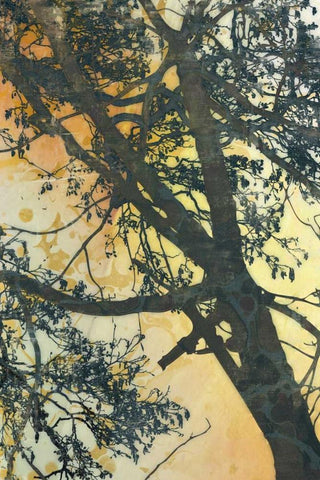 Bubbly Branches  White Modern Wood Framed Art Print with Double Matting by McMasters, James