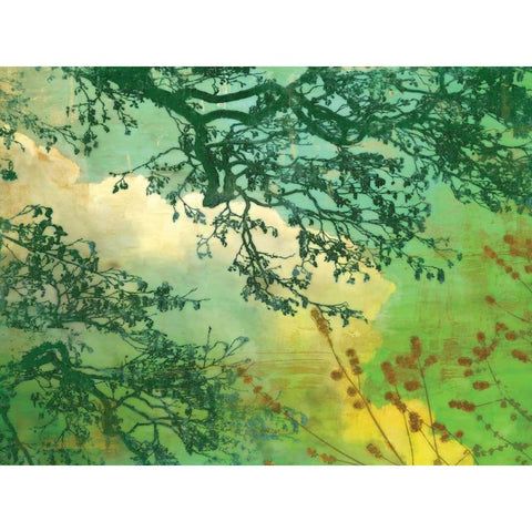 Branches and Clouds Black Modern Wood Framed Art Print by McMasters, James