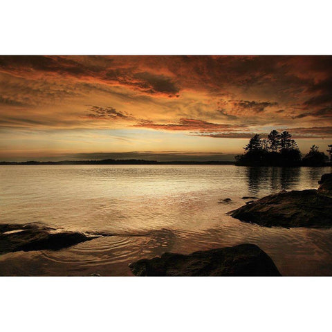Sunset on Sparrow Lake Muskoka Black Modern Wood Framed Art Print by Vitale, Joseph